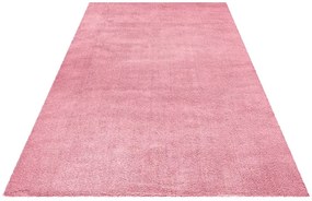 Festival koberce Kusový koberec Delgardo 501-07 Rose - 60x110 cm