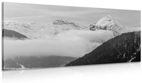 Obraz zimná krajina v čiernobielom prevedení Varianta: 100x50