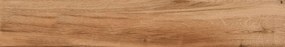 Dlažba Horse Brown 20x120 R 8mm