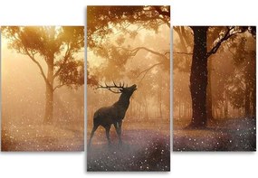 Obraz na plátně třídílný Jelení les Východ slunce Příroda - 90x60 cm