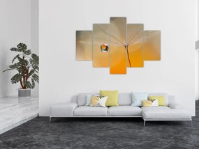Obraz - Makro kvetu (150x105 cm)