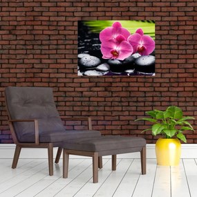 Obraz - Ružové orchidey s palmovým listom (70x50 cm)