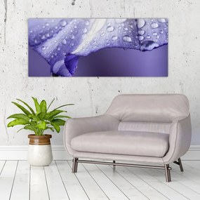Obraz - Okvetný lístok s kvapkami (120x50 cm)