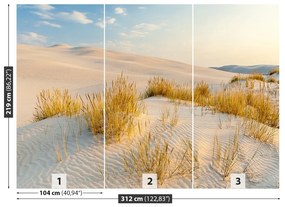 Fototapeta Vliesová Bunesk dunes 208x146 cm