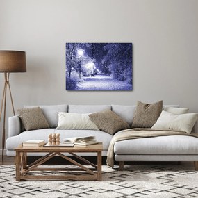 Obraz - Čarovná zimná noc (70x50 cm)