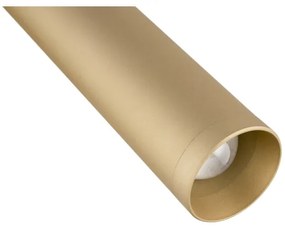 Argon 8326 - LED Nástenné bodové svietidlo RIO LED/4,2W/230V 3000K zlatá