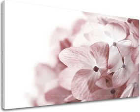 Obraz na stenu KVETY XOBKV114E11 - 40x60 cm