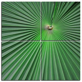 Obraz na plátne - Tropické listy - štvorec 3205E (60x60 cm)