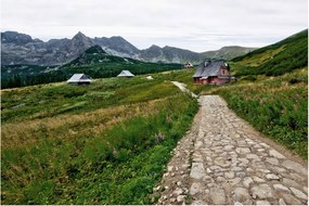 Obraz - Horská krajina s domčekmi (90x60 cm)