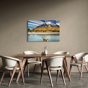 Obraz - Národný park Torres del Paine (90x60 cm)