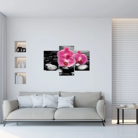 Obraz - Ružové orchidey (90x60 cm)