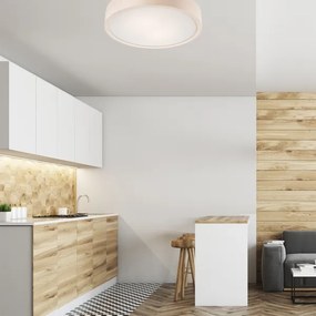 Stropné svietidlo 2xE27/60W/230V