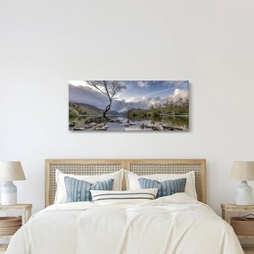 Obraz rieky za stromom (120x50 cm)