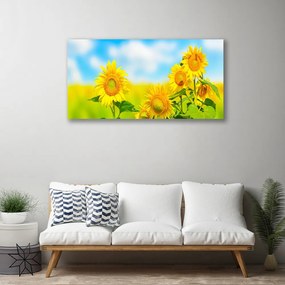 Obraz Canvas Slnečnica kvety príroda 140x70 cm