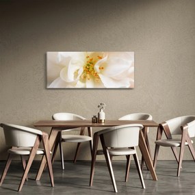 Obraz - Kvet (120x50 cm)