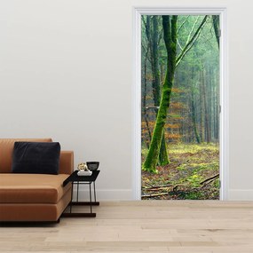 Fototapeta na dvere - Les (95x205cm)