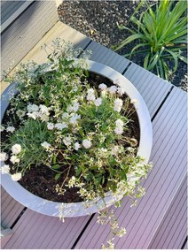 Okrasná miska PLANA, sklolaminát, Ø 54 cm x výška 14 cm, betón design