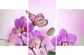 Obraz - Motýľ na kvetoch orchidey, lila (90x60 cm)