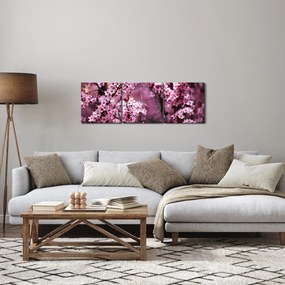 Obraz - Ružová sakura (s hodinami) (90x30 cm)