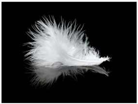 Artgeist Fototapeta - White feather Veľkosť: 300x231, Verzia: Premium