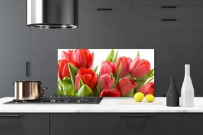 Nástenný panel  Tulipány kvety rastlina 100x50 cm