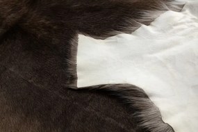 Koberec RENIFER POK010 hnedý