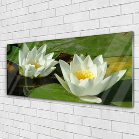 Obraz plexi Kvety rastliny príroda 125x50 cm