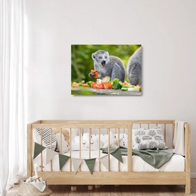 Sklenený obraz lemura (70x50 cm)