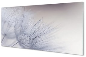 Obraz na skle Kvapky rosy púpavy 125x50 cm