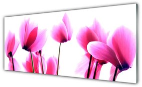 Obraz na akrylátovom skle Kvetiny rastlina 125x50 cm