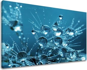 Obraz na stenu KVETY KV101E11 - 80x120 cm