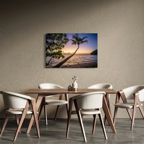 Obraz palmy na pláži (90x60 cm)