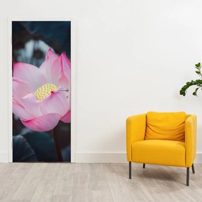 Fototapeta na dvere - Ružové kvety (95x205cm)