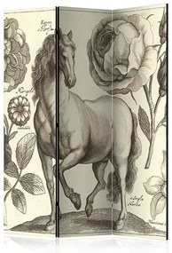 Paraván - Horse [Room Dividers] Veľkosť: 135x172, Verzia: Jednostranný