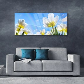 Obraz plexi Rastliny kvety tulipány 125x50 cm