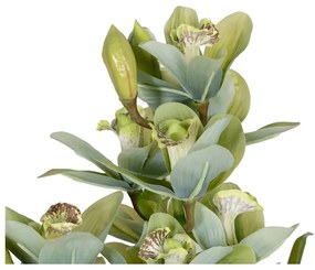 Umelá rastlina (výška 110 cm) Orchid – Ixia