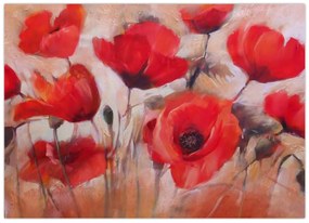Obraz - Vlčie maky (70x50 cm)