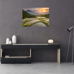 Sklenený obraz - Ryžové terasy (70x50 cm)