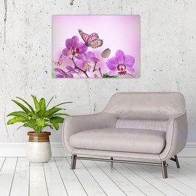 Obraz - Motýľ na kvetoch orchidey, lila (70x50 cm)