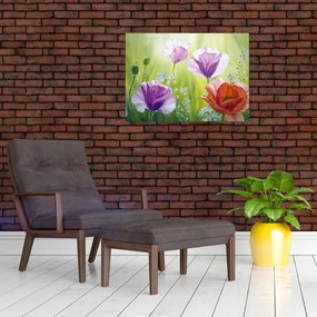 Sklenený obraz - Vlčie maky (70x50 cm)