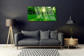 Obraz na skle Les príroda 140x70 cm