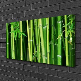 Obraz Canvas Bambusový les bambus príroda 120x60 cm