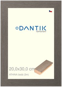 DANTIK rám na obraz 20x30 | ATHINA šedá (Sklo Čiré)
