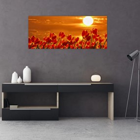 Obraz rozkvitnutého lánu s tulipánmi (120x50 cm)