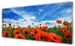 Obraz plexi Lúka maky kvety 125x50 cm