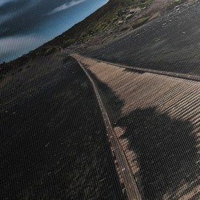 Obraz drevenej cesty za súmraku (120x50 cm)