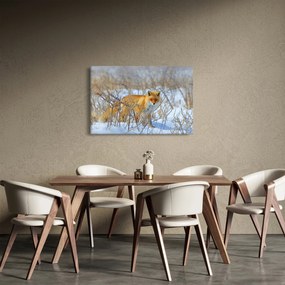 Obraz - Lišiak (90x60 cm)