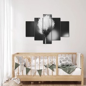 Obraz - Čiernobiely cottongrass (150x105 cm)