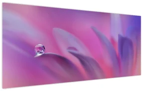 Obraz - Kvapka na kvete (120x50 cm)