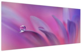 Obraz - Kvapka na kvete (120x50 cm)